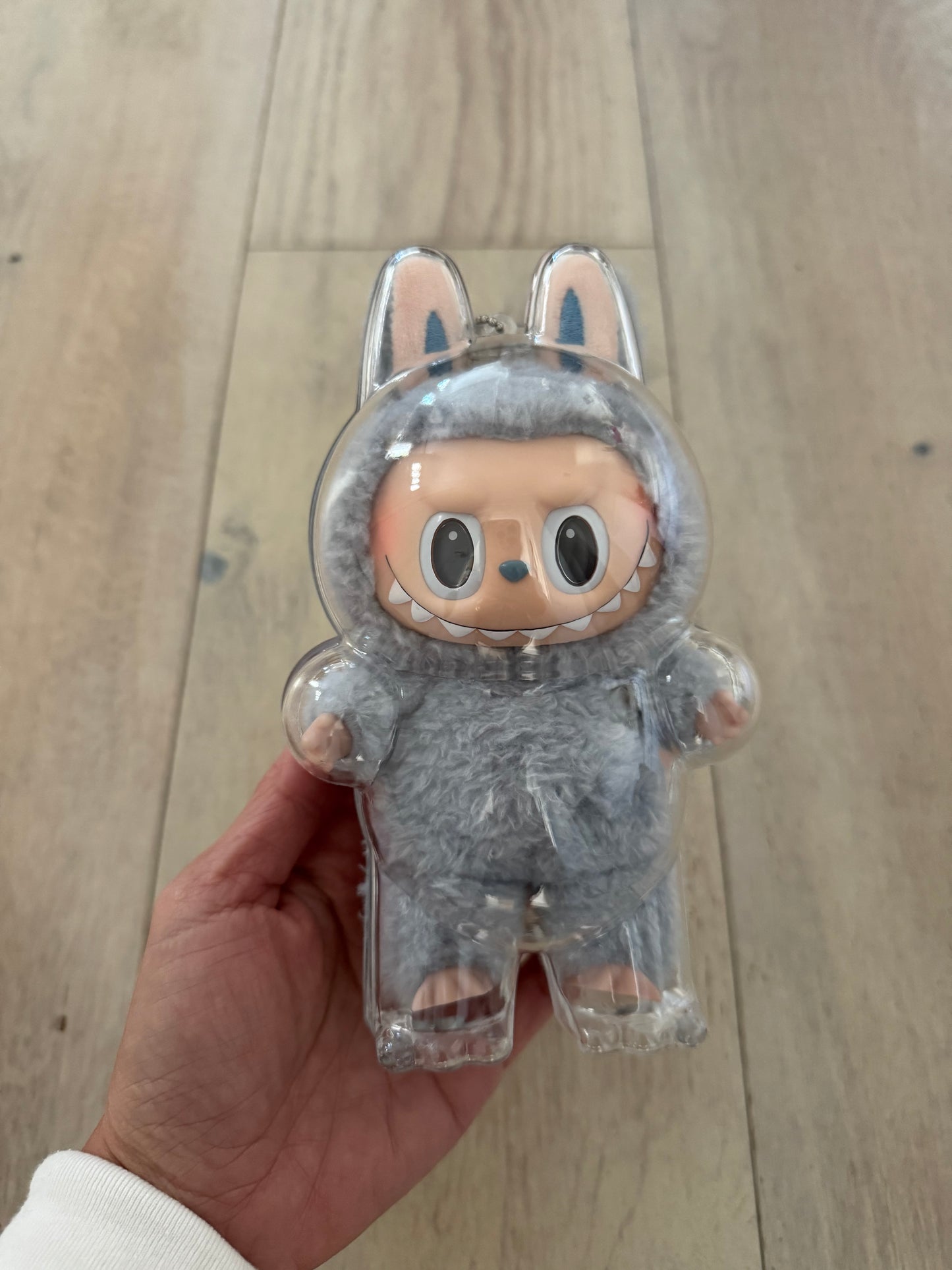 Labubu Protection Hard Case