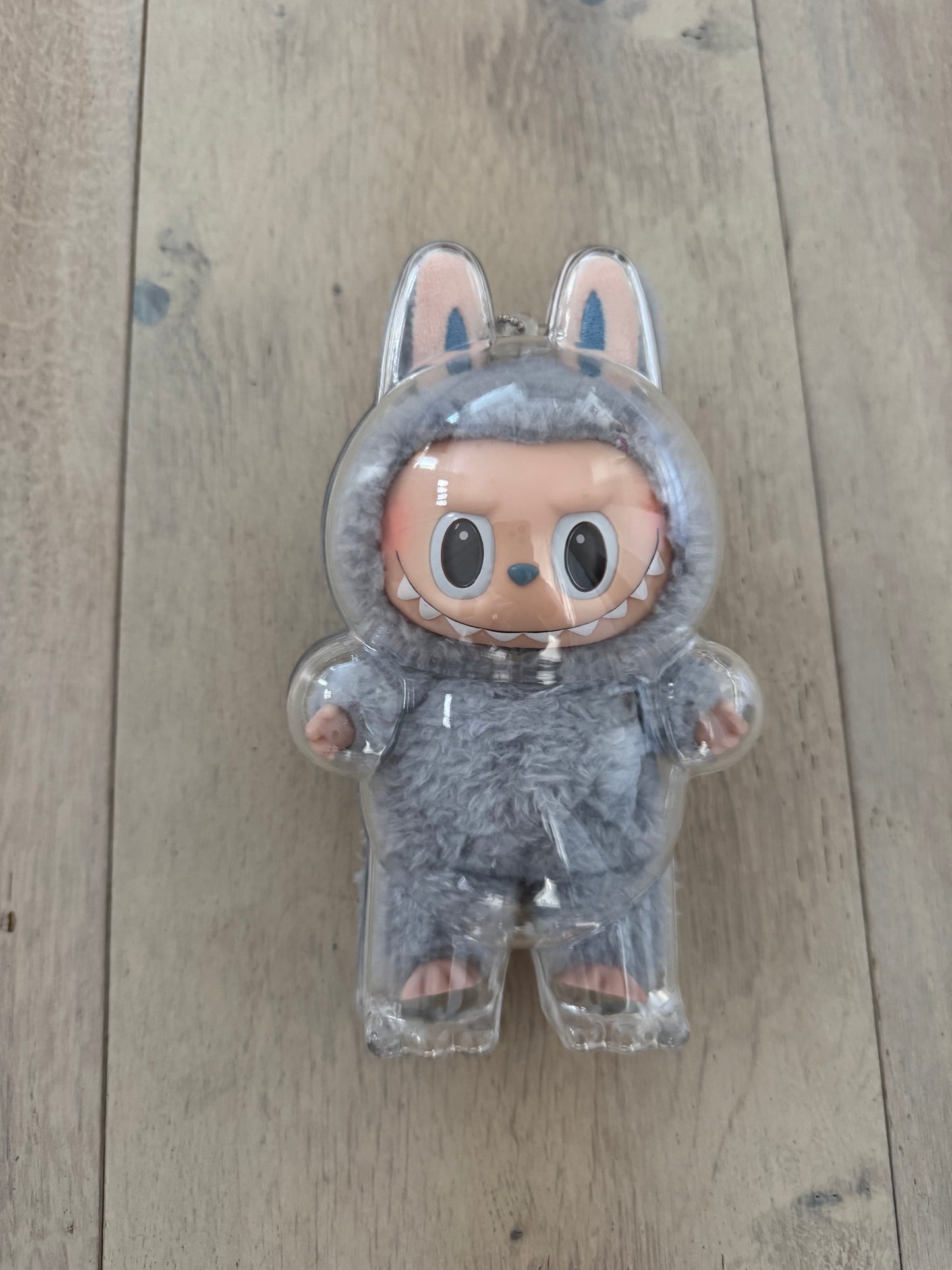 Labubu Protection Hard Case