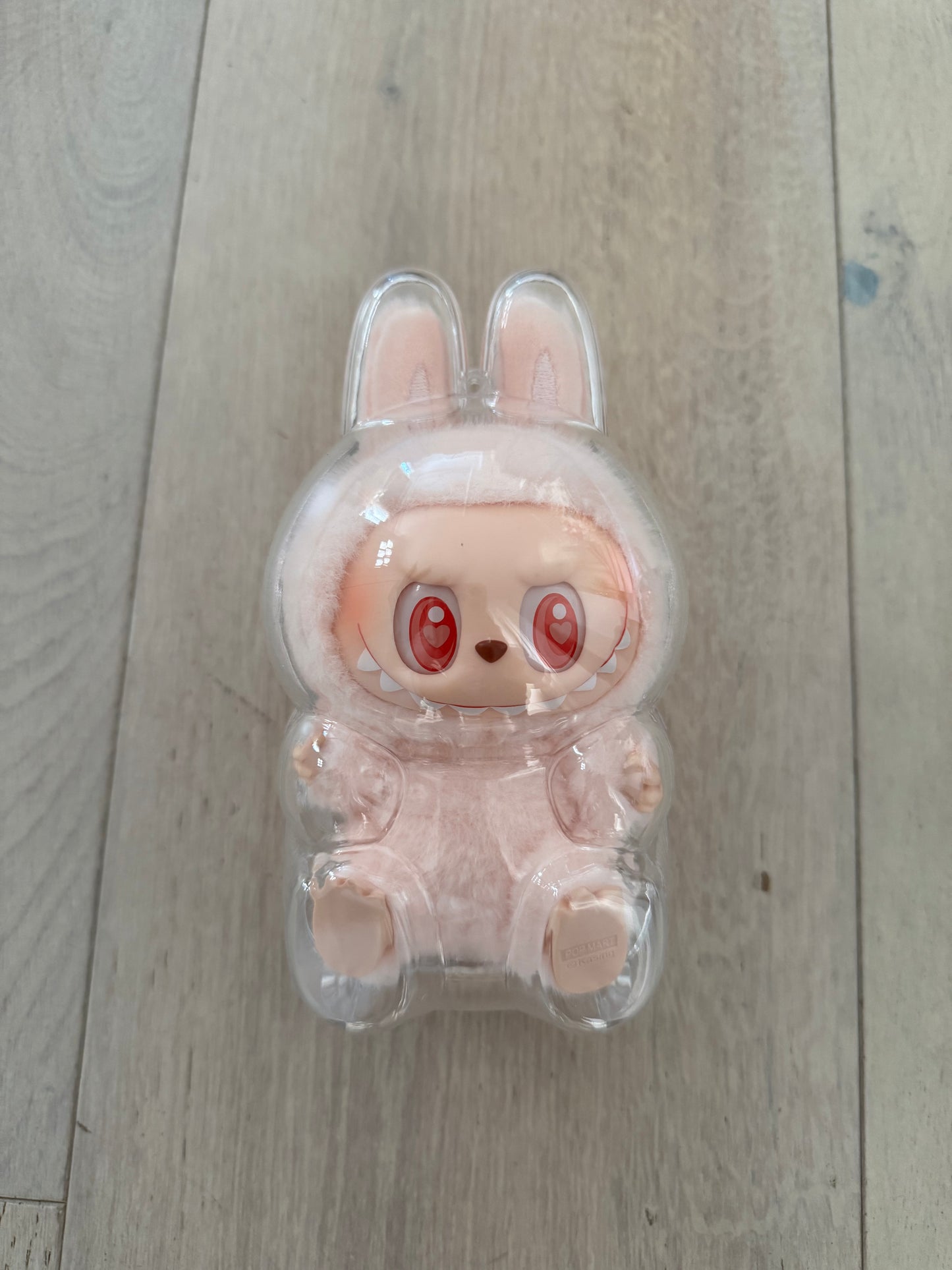 Labubu Protection Hard Case