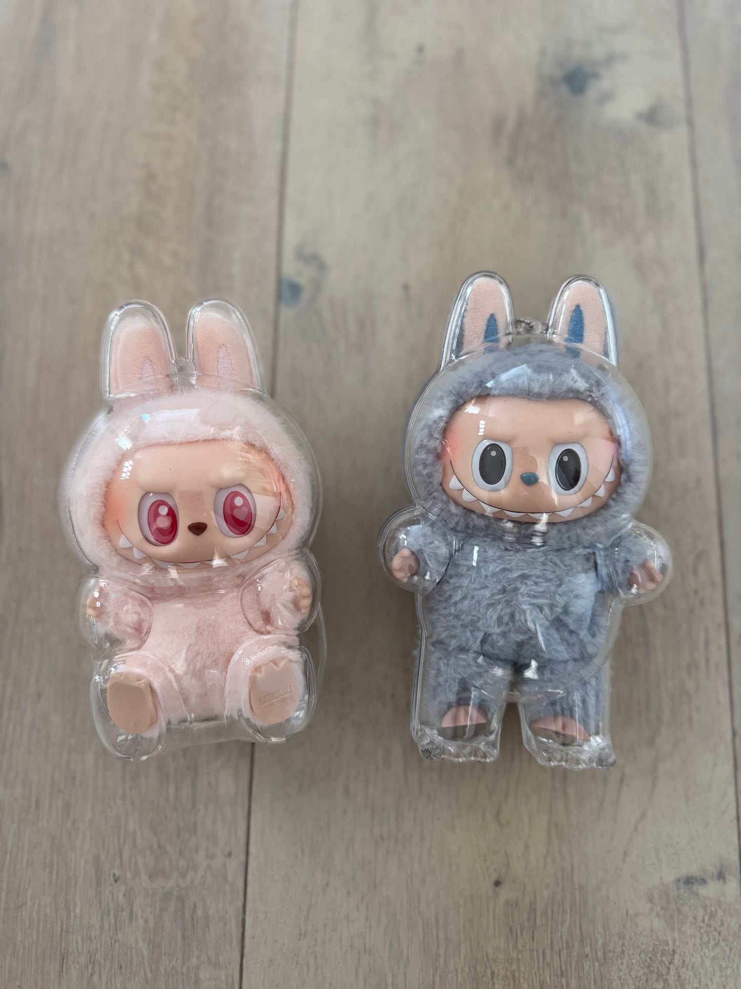 Labubu Protection Hard Case
